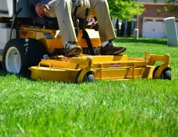 Lawn Care Tips