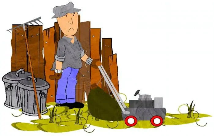 Yard Cleaning Services