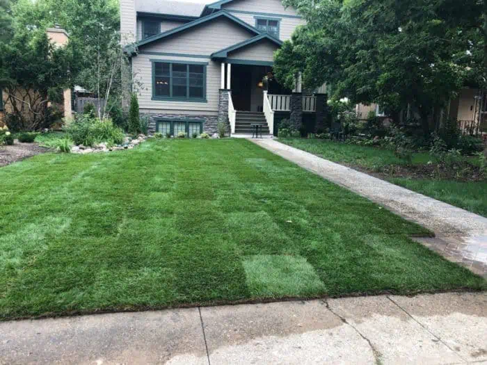 Landscaping Front Yard