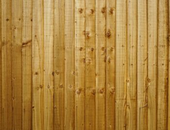 Close-up of vertical cedar fence boards showing several distinct knots and natural grain patterns